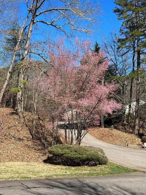 Creekside Gated Golf Mtn Villa W/Fast Wifi & Paved Franklin Esterno foto