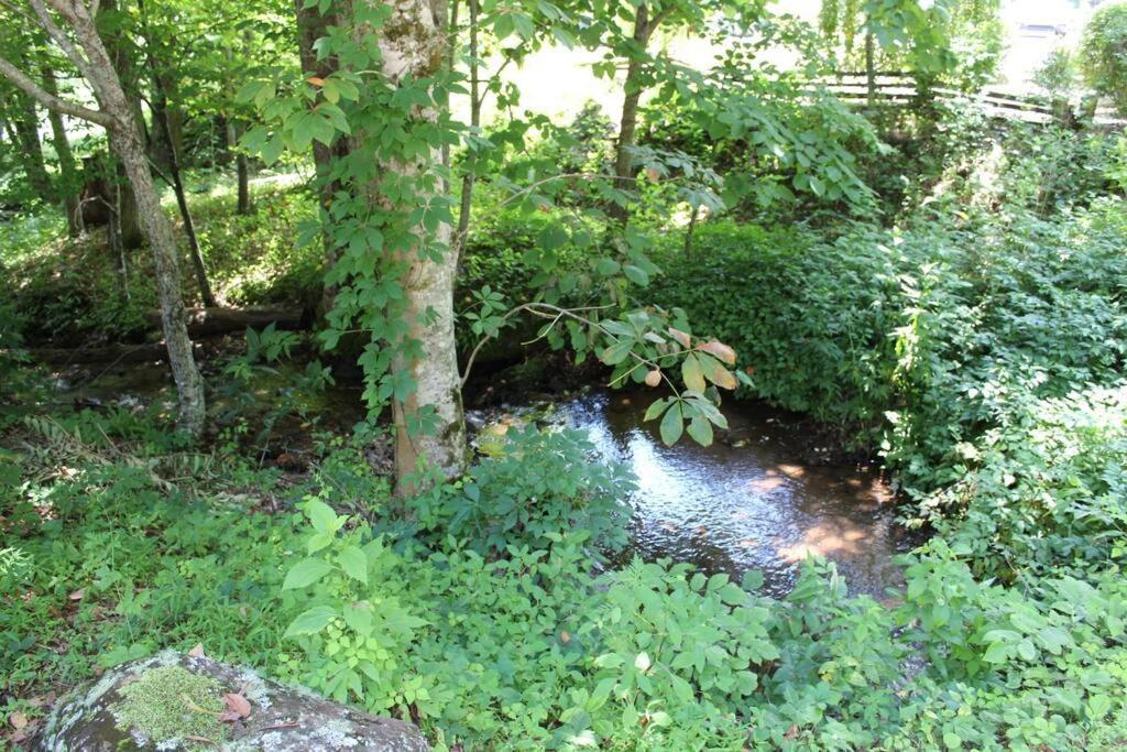 Creekside Gated Golf Mtn Villa W/Fast Wifi & Paved Franklin Esterno foto