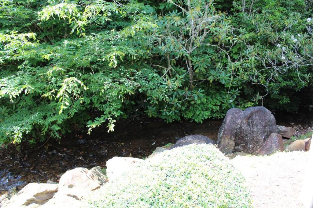 Creekside Gated Golf Mtn Villa W/Fast Wifi & Paved Franklin Esterno foto